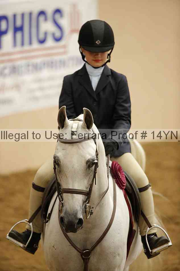 Proof 14yn_18379