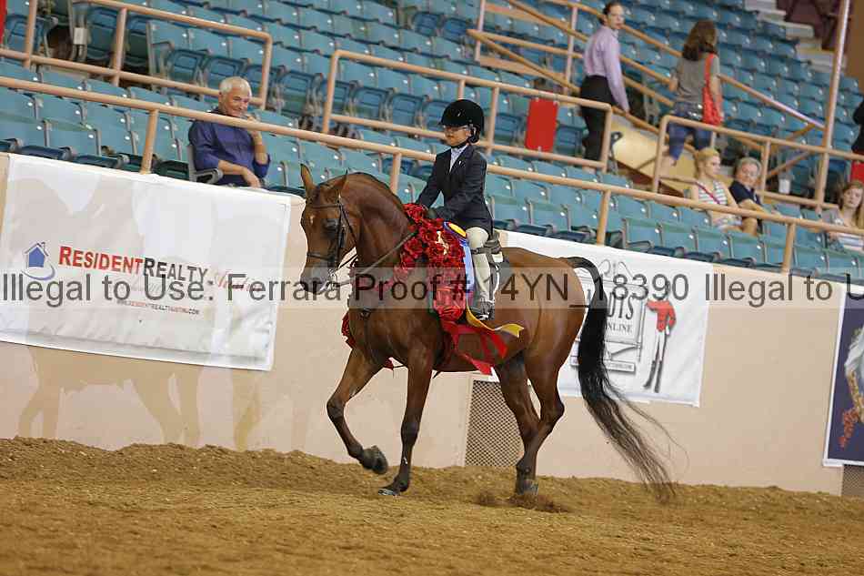 Proof 14yn_18390