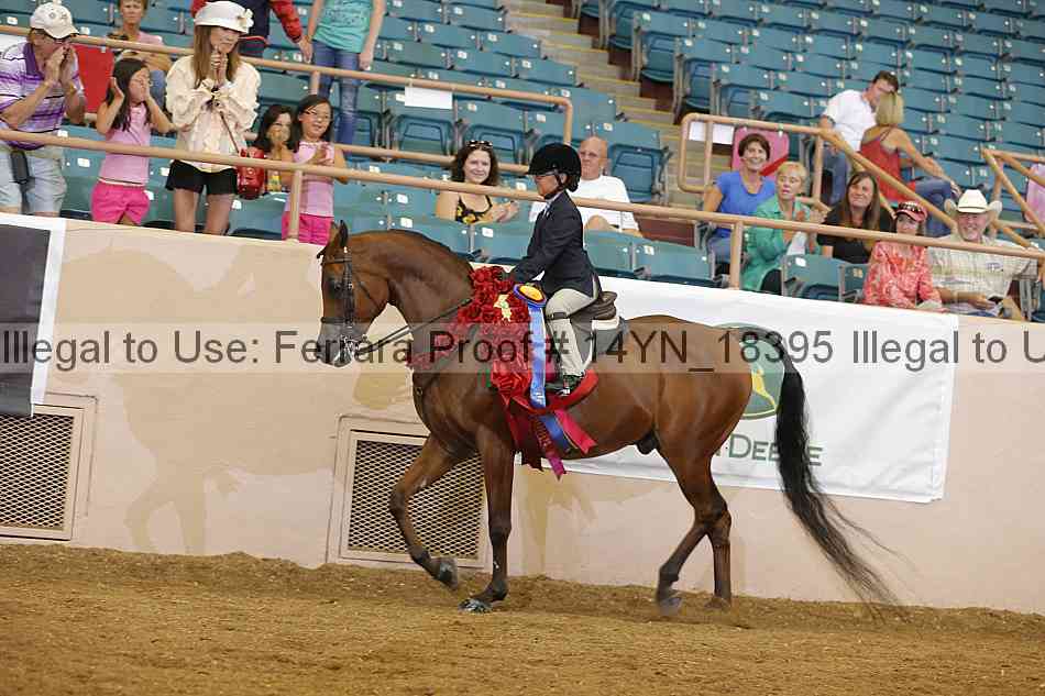 Proof 14yn_18395
