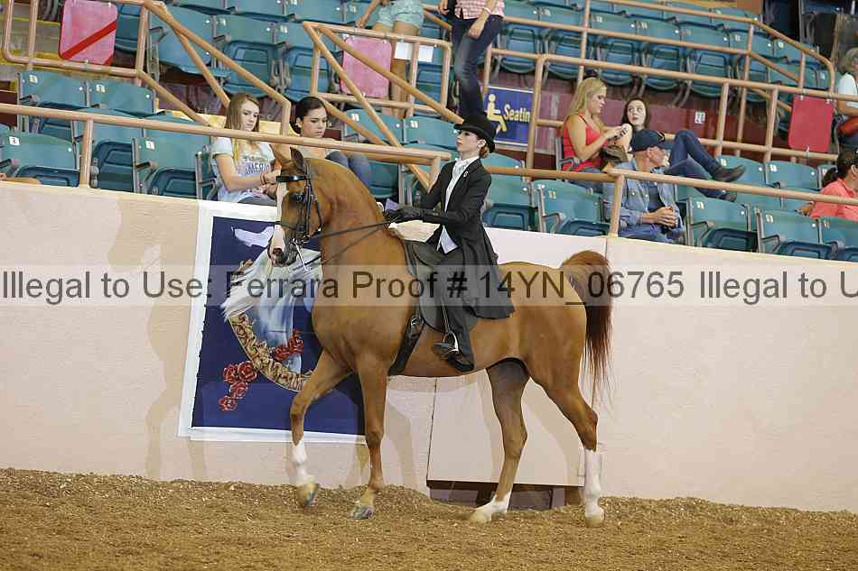 Proof 14yn_06765