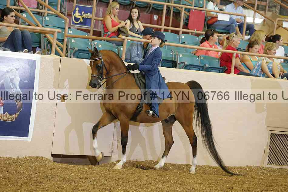 Proof 14yn_06766