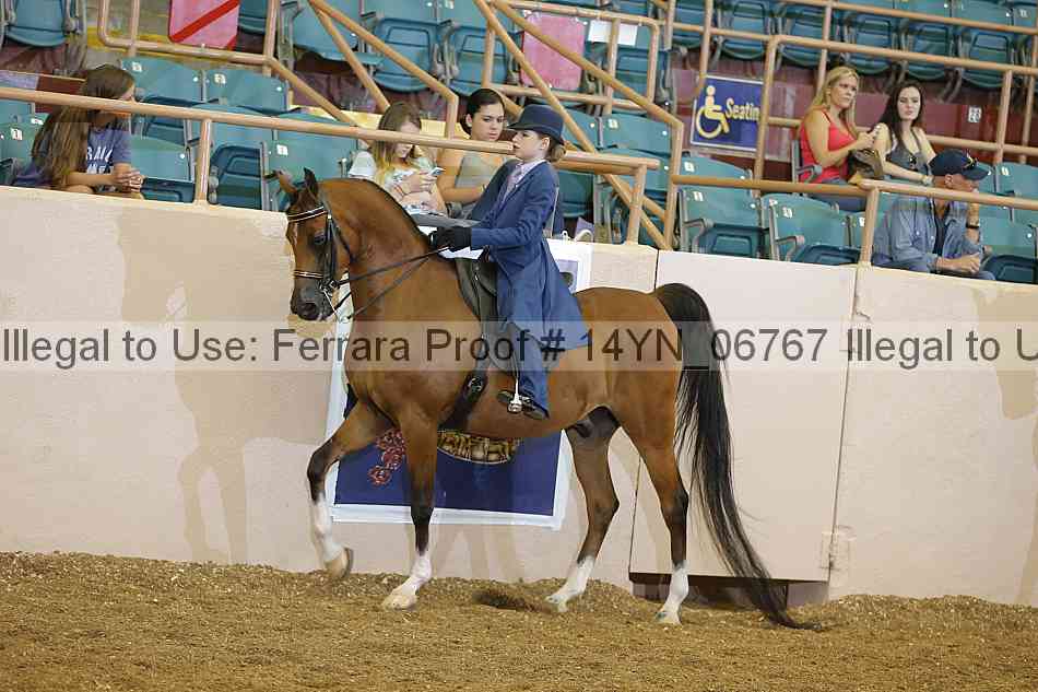 Proof 14yn_06767