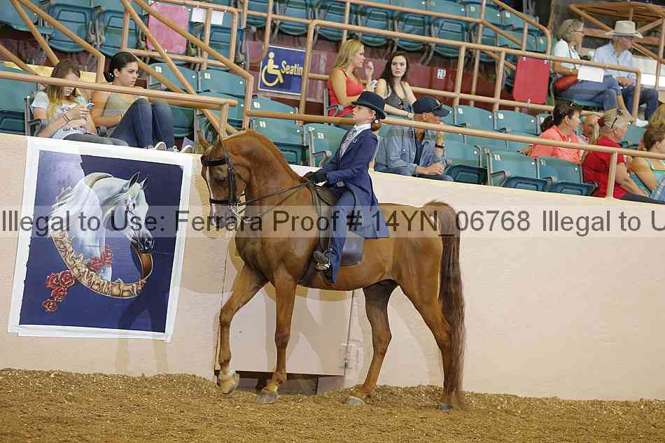 Proof 14yn_06768