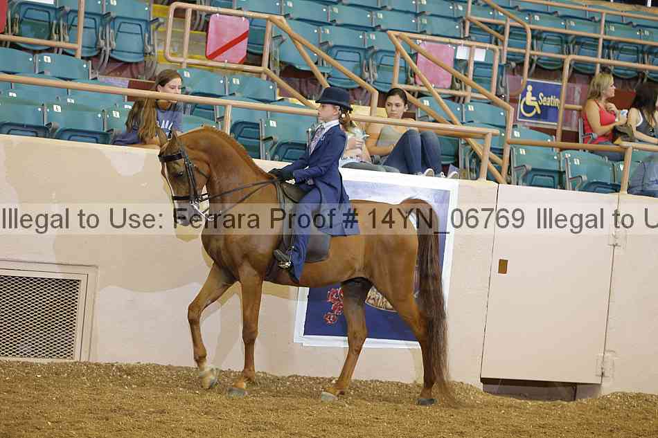 Proof 14yn_06769