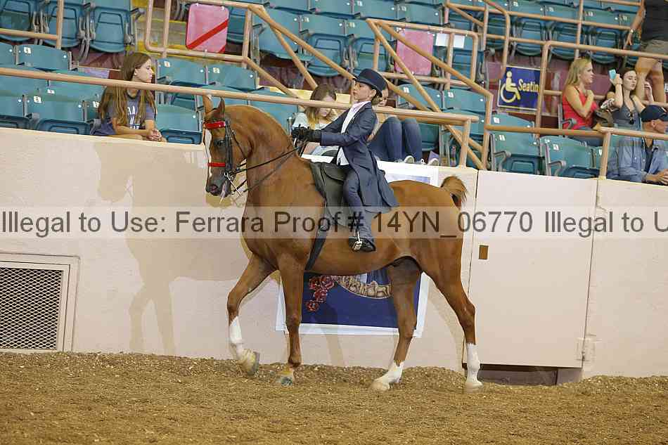 Proof 14yn_06770