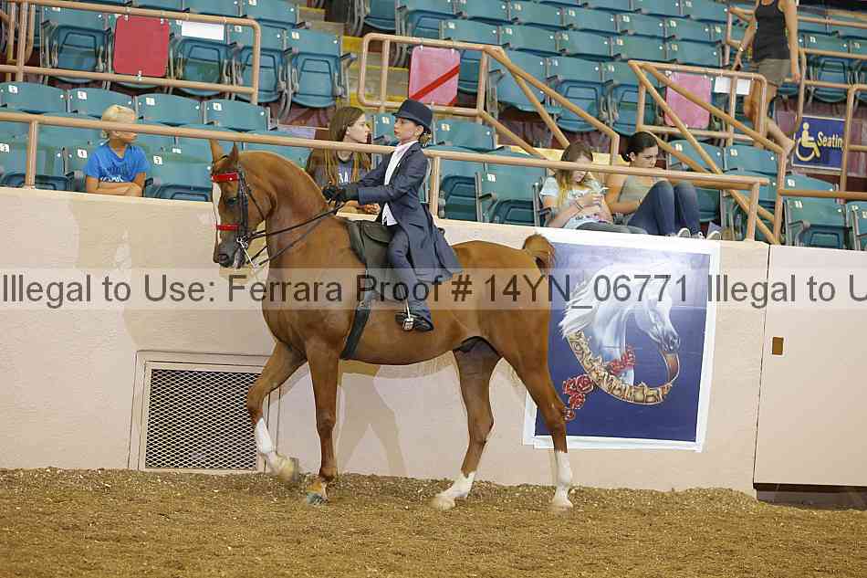 Proof 14yn_06771