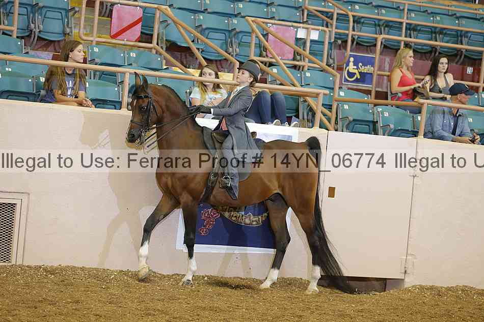 Proof 14yn_06774