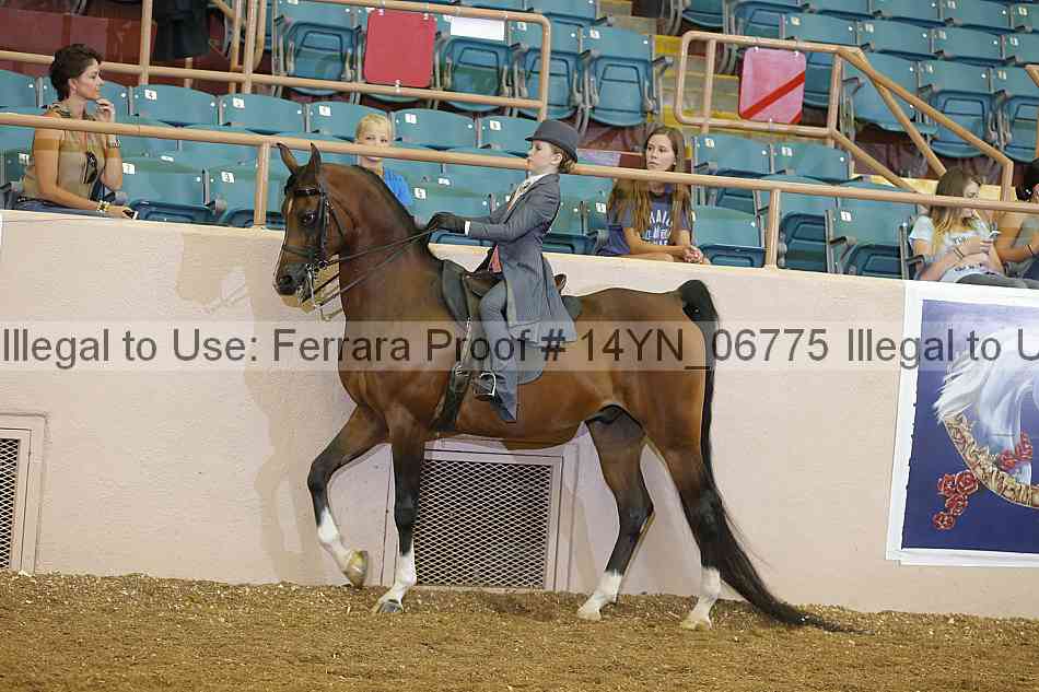 Proof 14yn_06775
