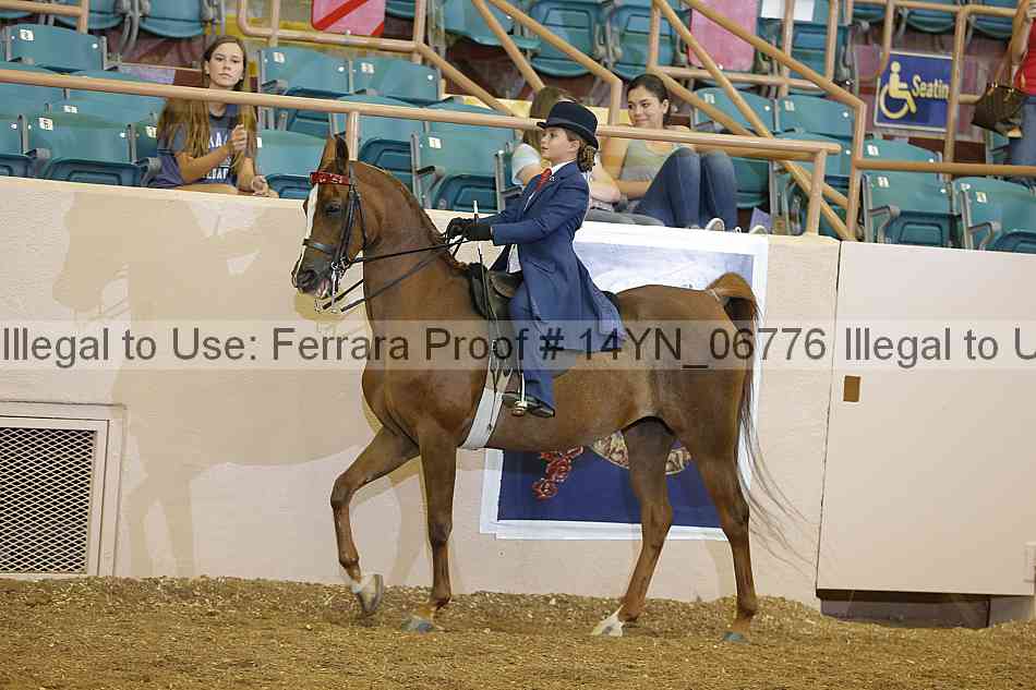 Proof 14yn_06776