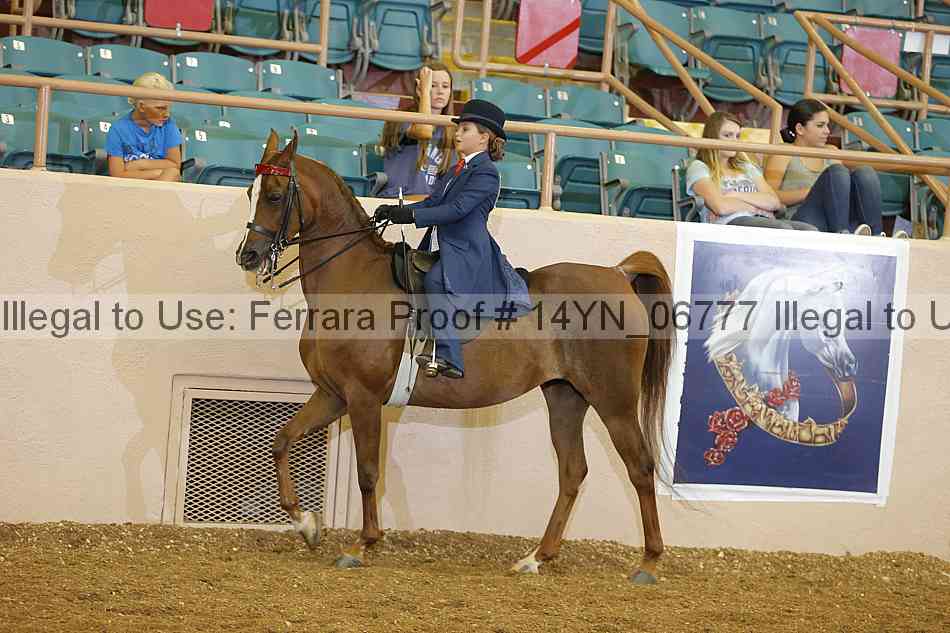 Proof 14yn_06777