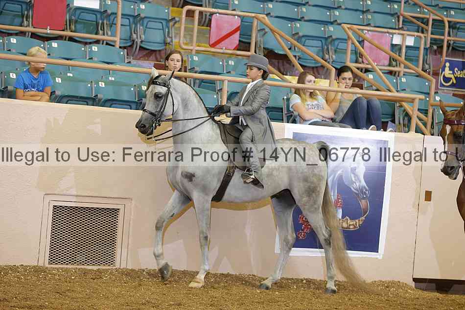 Proof 14yn_06778