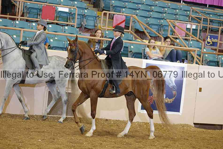 Proof 14yn_06779