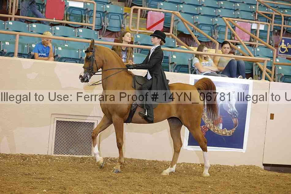 Proof 14yn_06781