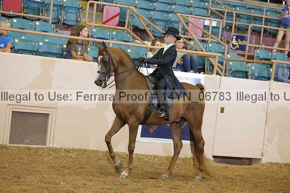 Proof 14yn_06783