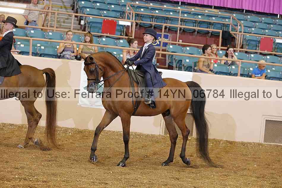 Proof 14yn_06784