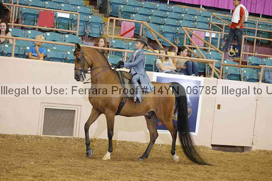 Proof 14yn_06785