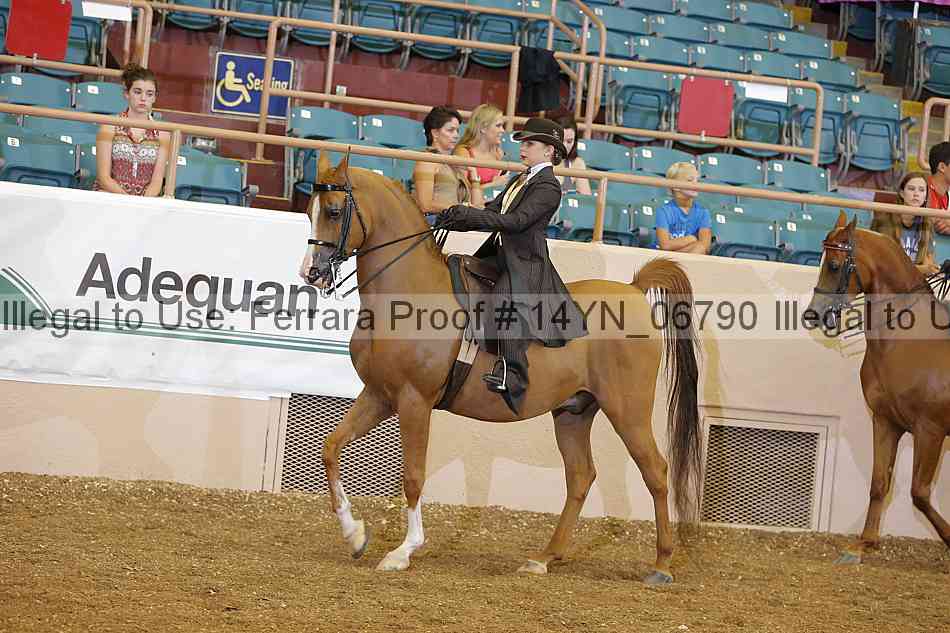 Proof 14yn_06790
