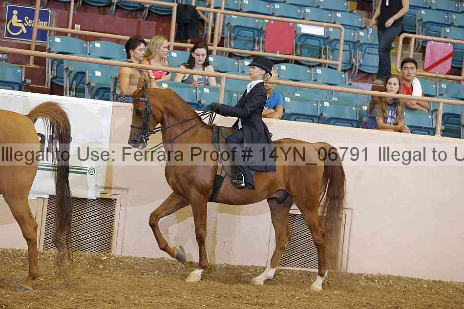 Proof 14yn_06791