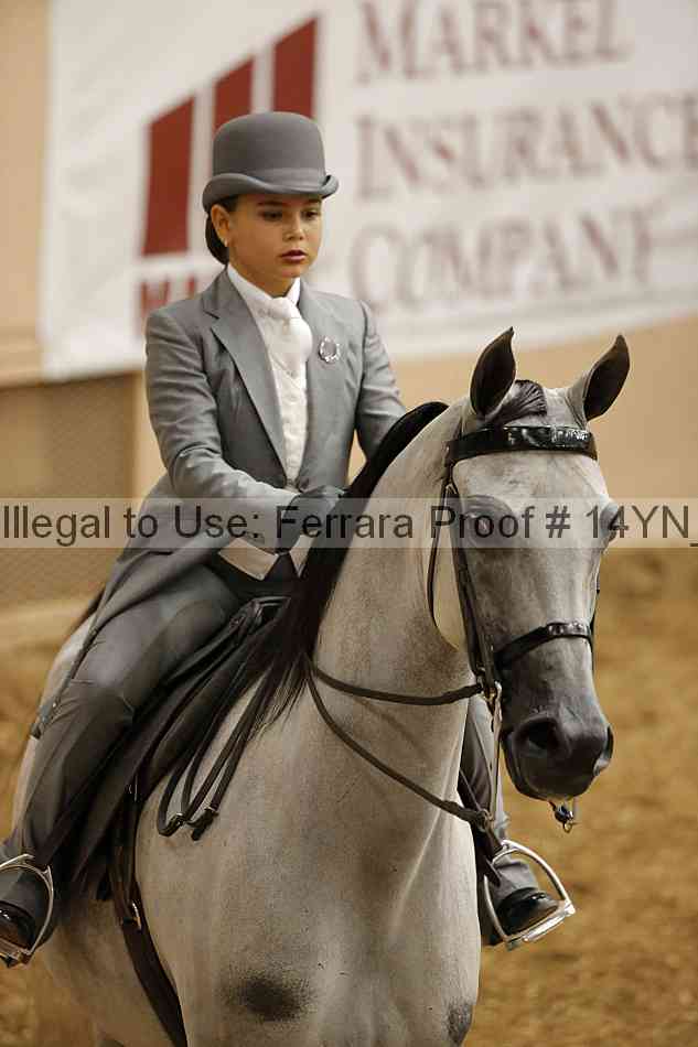 Proof 14yn_06793