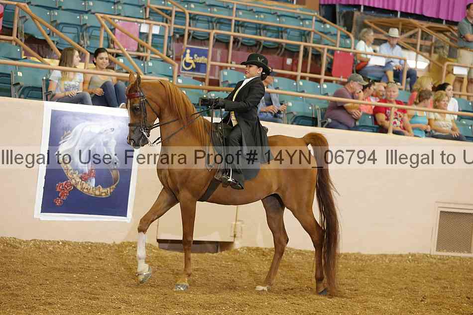 Proof 14yn_06794