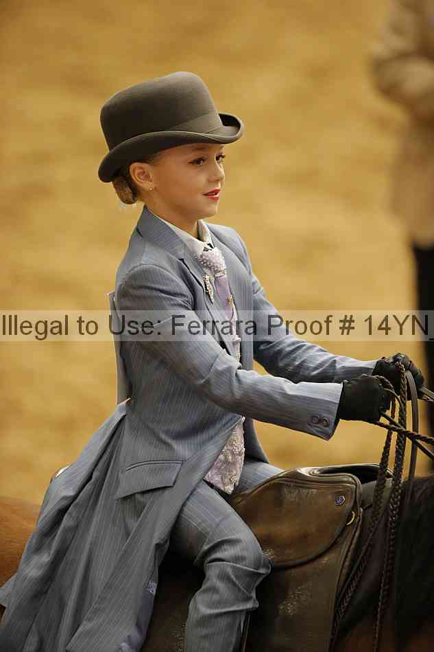 Proof 14yn_06795