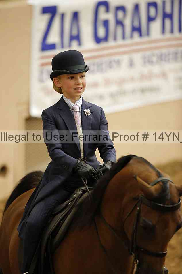 Proof 14yn_06796