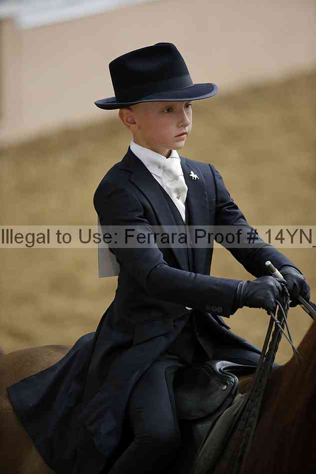 Proof 14yn_06798