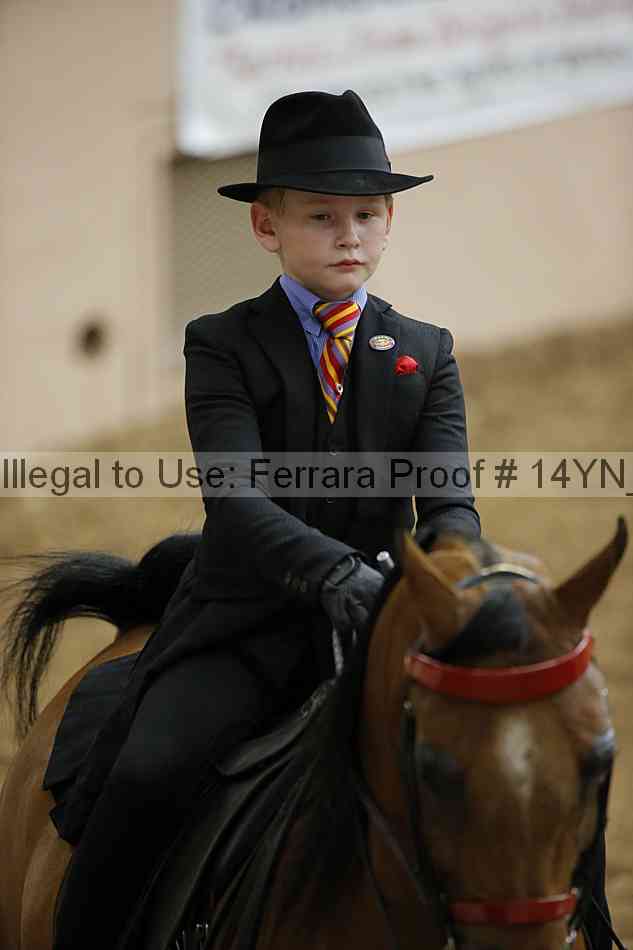 Proof 14yn_06799