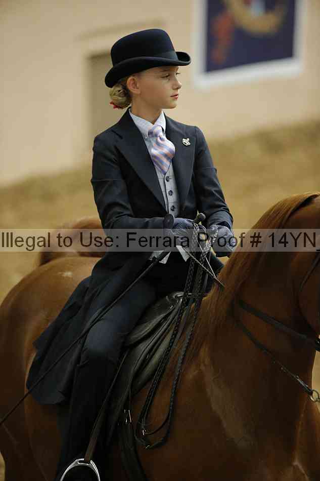 Proof 14yn_06801