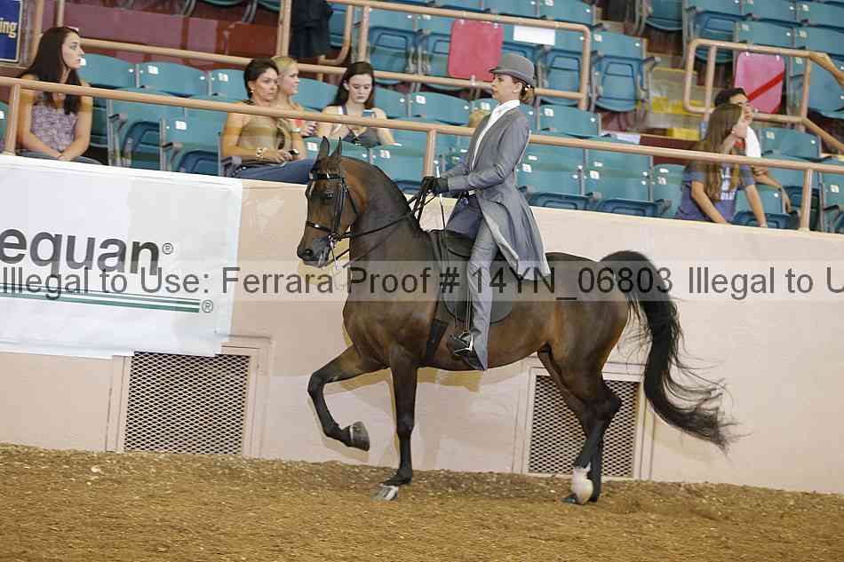 Proof 14yn_06803