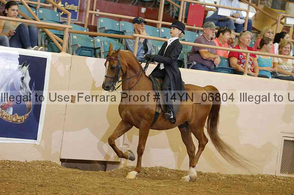 Proof 14yn_06804