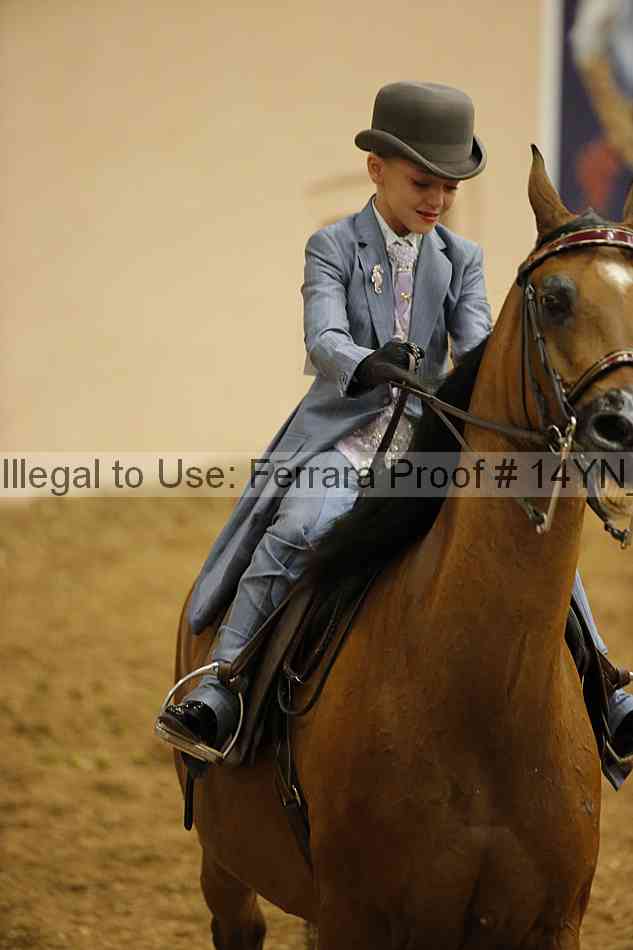 Proof 14yn_06805