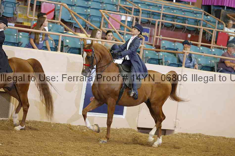 Proof 14yn_06806