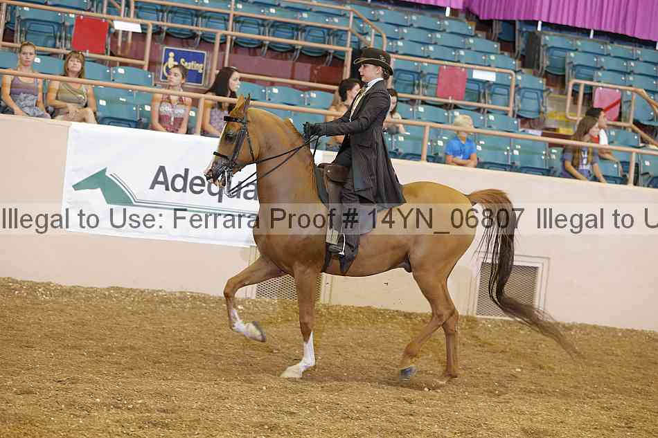 Proof 14yn_06807