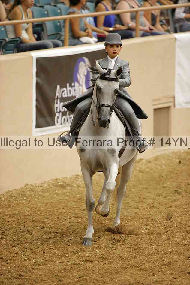 Proof 14yn_06808
