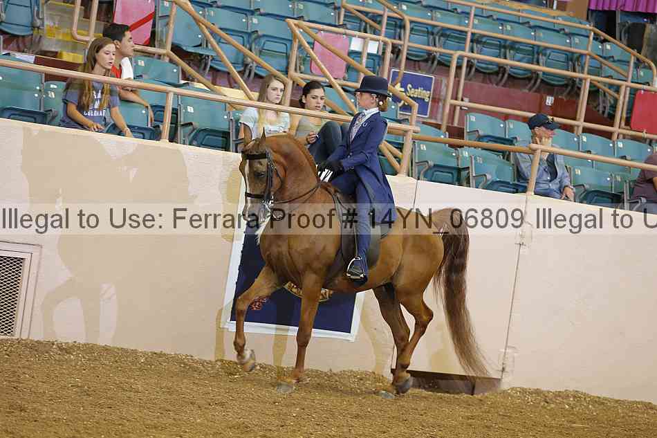 Proof 14yn_06809