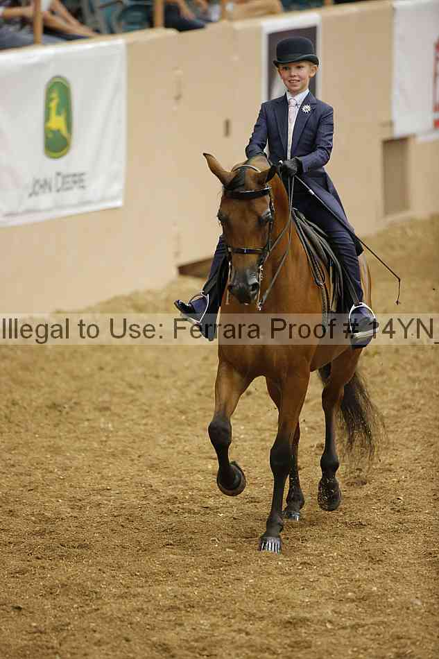 Proof 14yn_06810