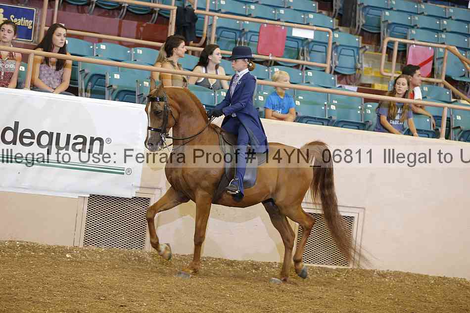 Proof 14yn_06811