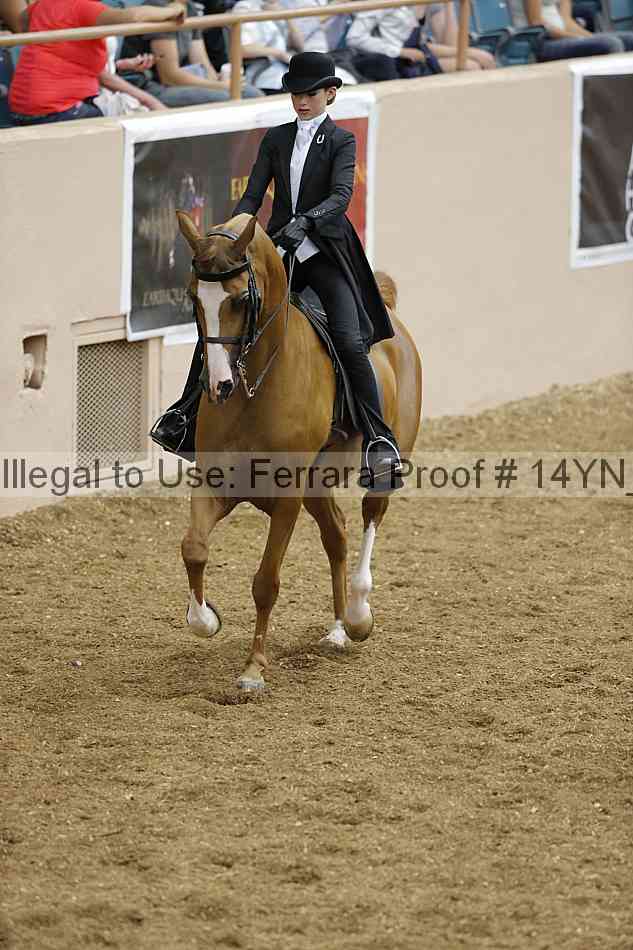 Proof 14yn_06814