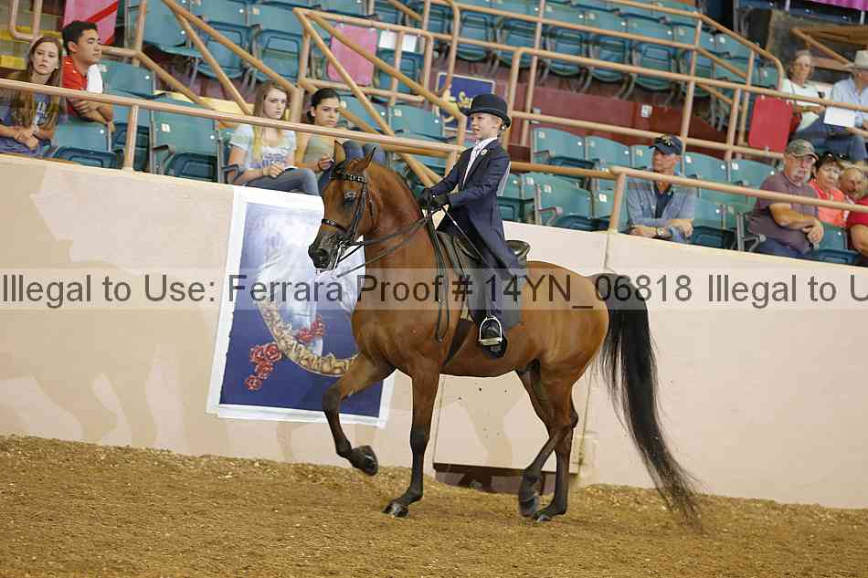 Proof 14yn_06818
