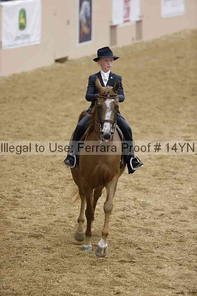 Proof 14yn_06820