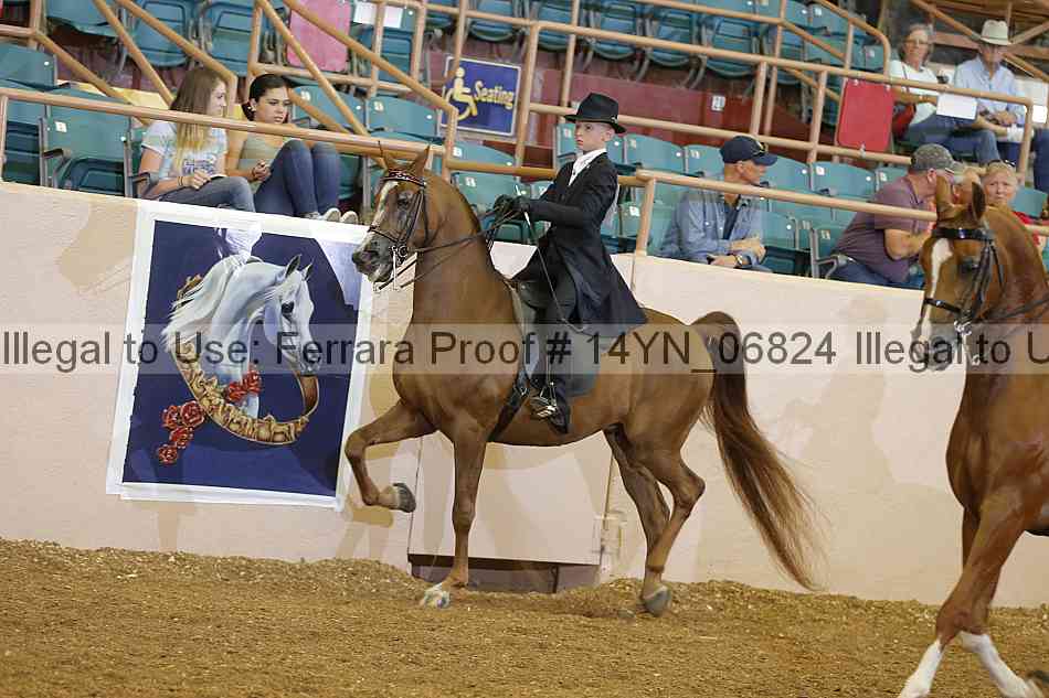 Proof 14yn_06824