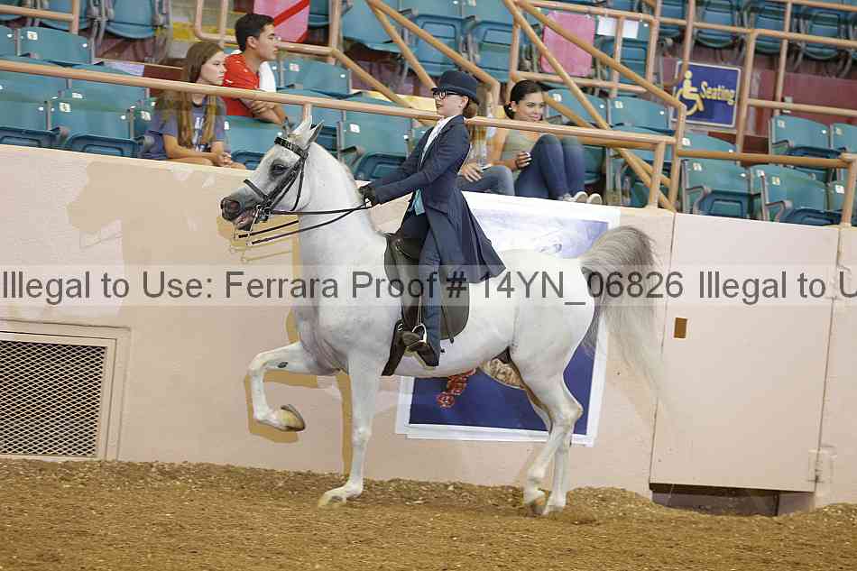 Proof 14yn_06826