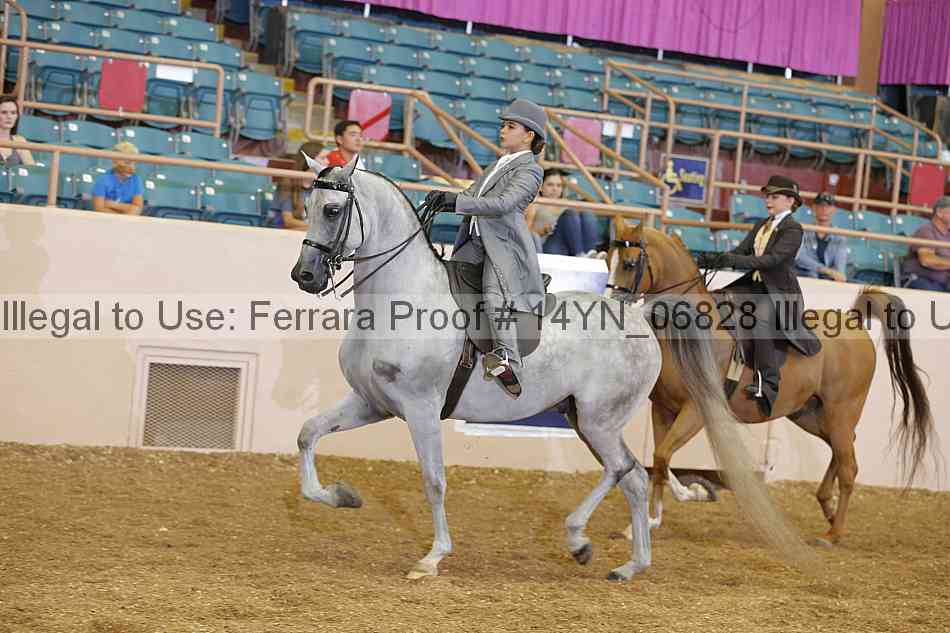 Proof 14yn_06828