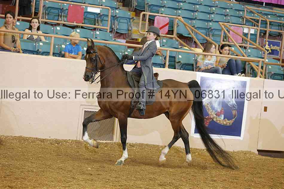 Proof 14yn_06831