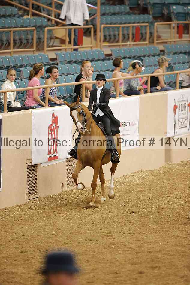 Proof 14yn_06832