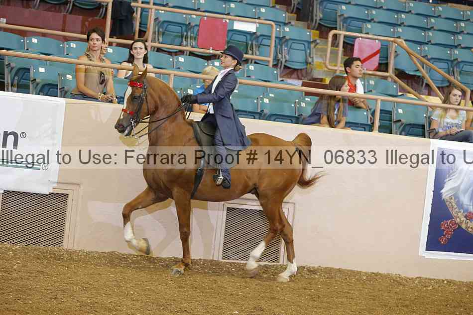 Proof 14yn_06833