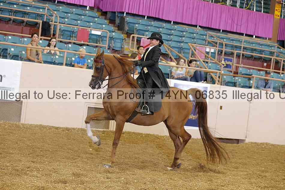 Proof 14yn_06835