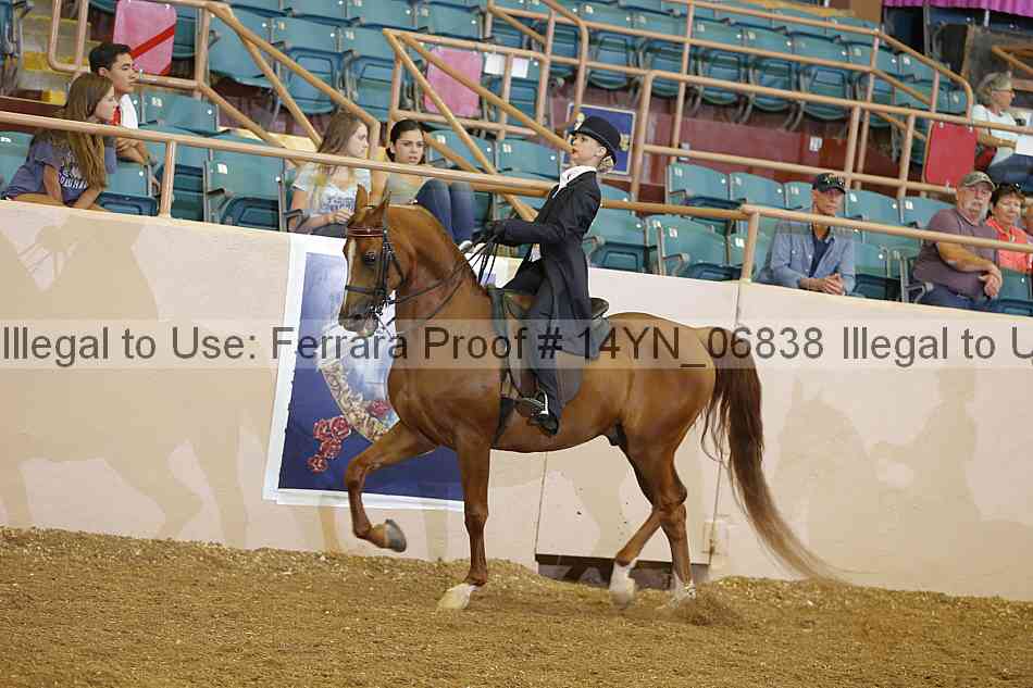 Proof 14yn_06838