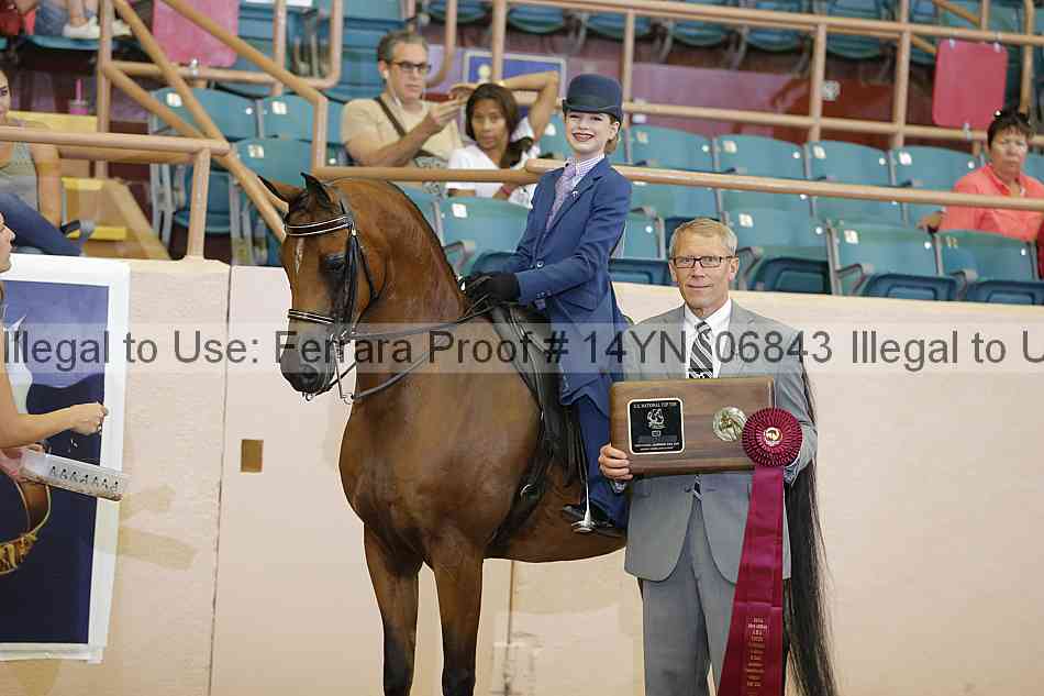 Proof 14yn_06843
